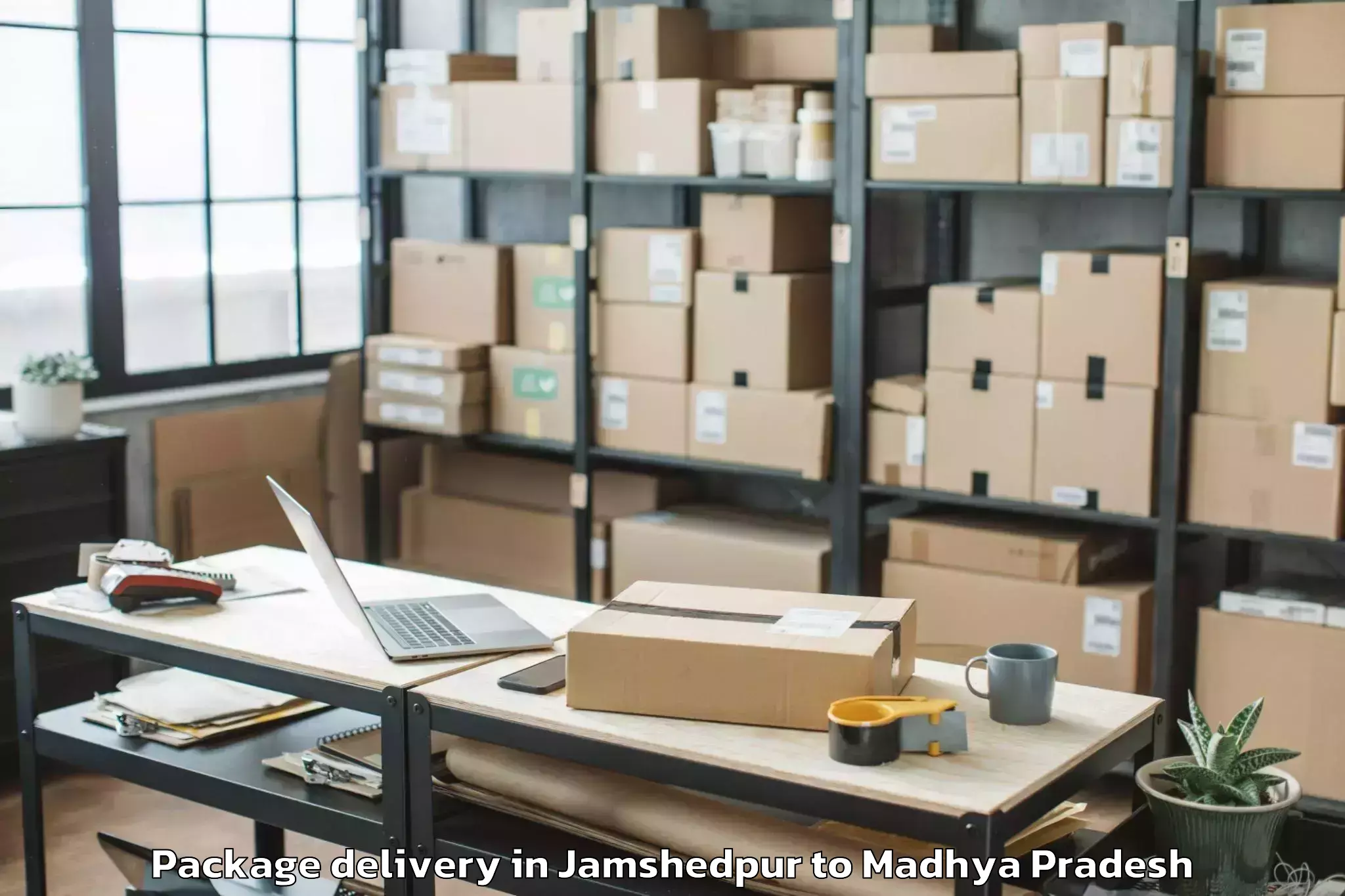 Easy Jamshedpur to Sage University Indore Package Delivery Booking